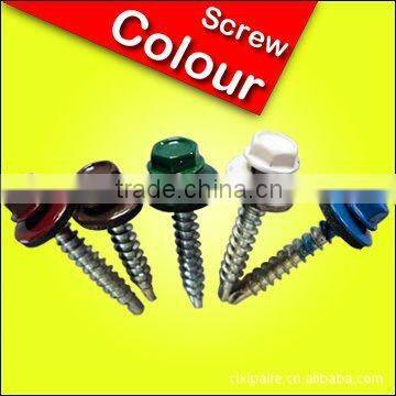 Painted hex head roofing screw