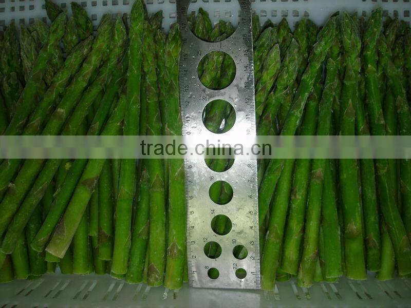 IQF Asparagus