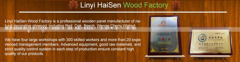 Made In China plywood production line