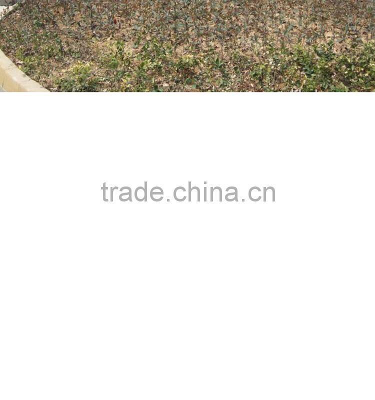 china supplier Low price LED Lighting For Crystal Lamp E14 E27 B22 3W led candle lamp