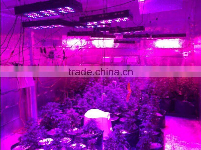 Hot sale 1000w full spectrum led grow lights for hemp grow and bloom