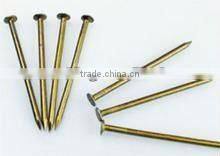 Common nails