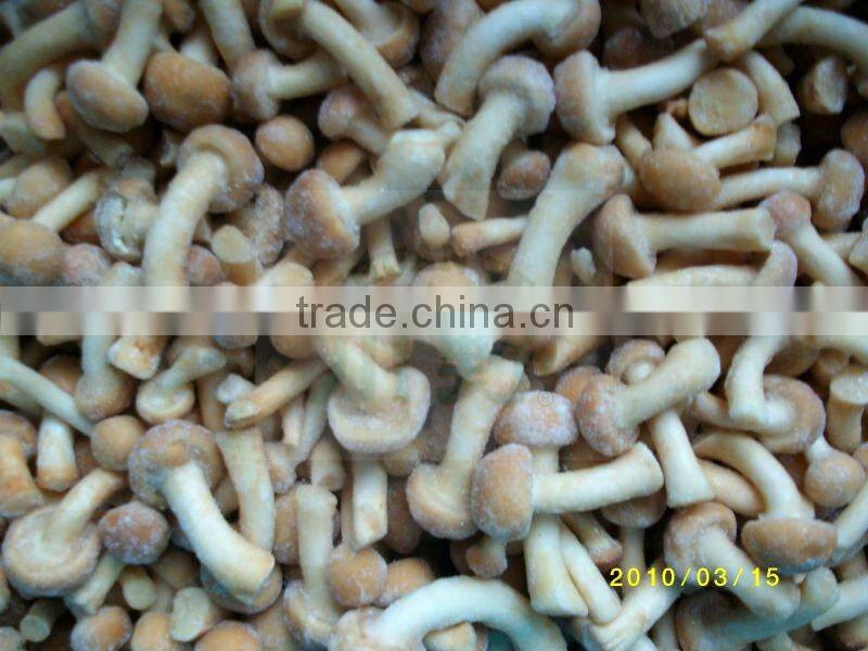 Whole Frozen Champignon Mushrooms Supplier