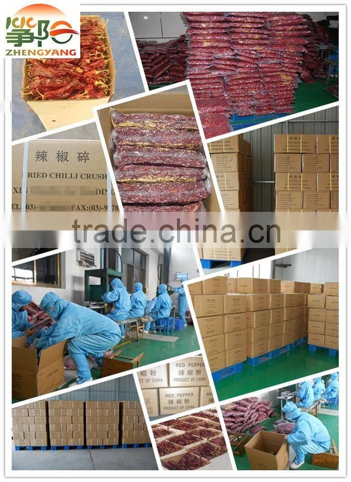 dry red sweet paprika ASTA120-ASTA160-ASTA180-ASTA200