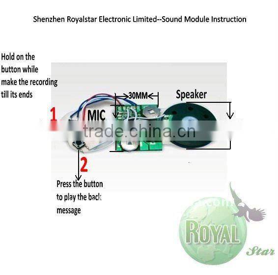 Greeting Card Voice Recorder