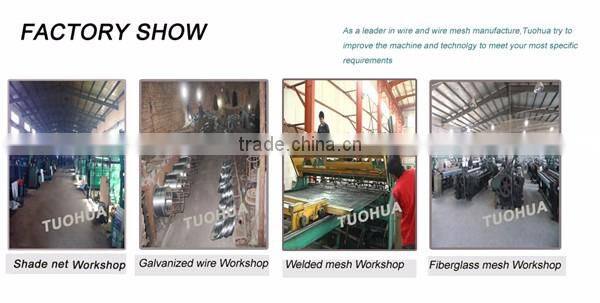 Fiberglass mesh in europe,germany fiberglass mesh