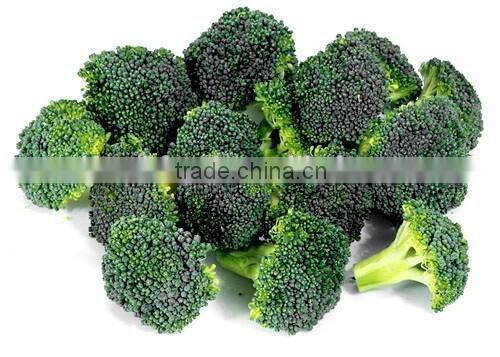 Frozen Broccoli Exporter
