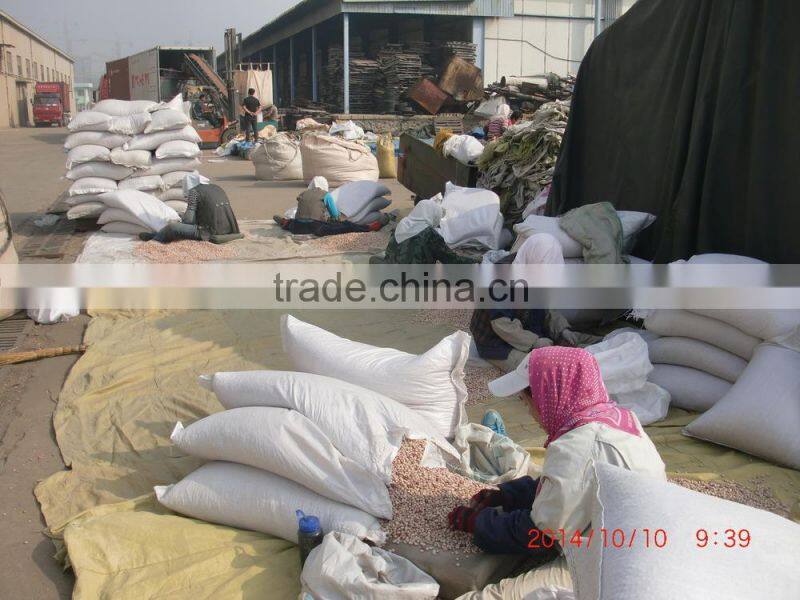 FULL OF SPECKLED KIDNEY BEANS FROM CHINA