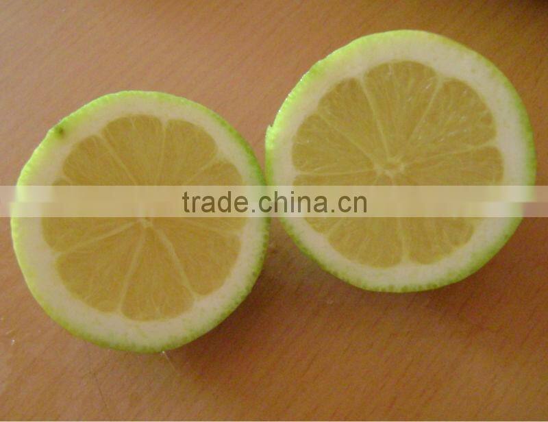 FRESH LEMON ( Adalia - Verna - Green lime )