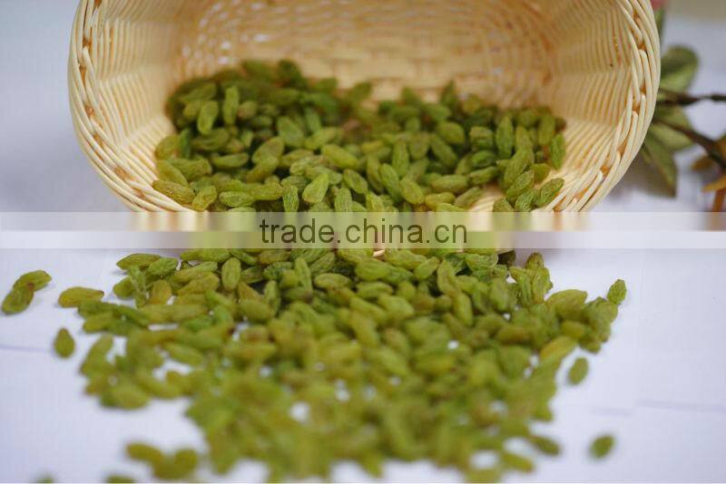 Golden sun raisins, hand selected quality