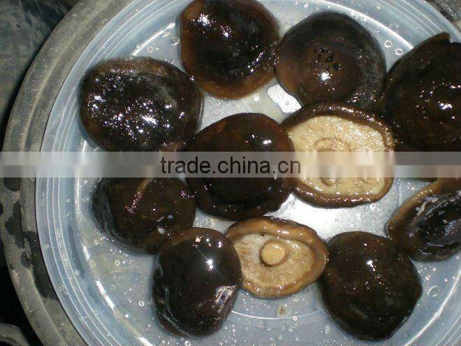 salted shiitake mushroom in brine