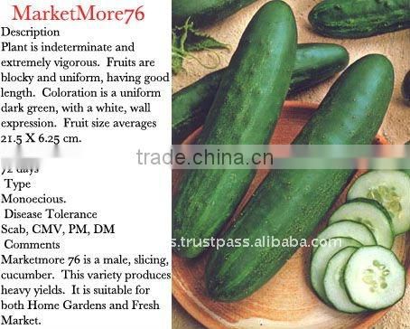 Market More Cucumber Seeds