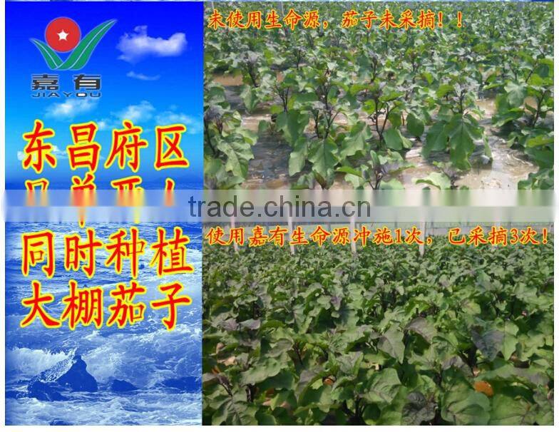 Fulvic acid calcium magnesium fertilizer, Suitable for Fruit Tree,Melon and fruit,Leaf vegetables
