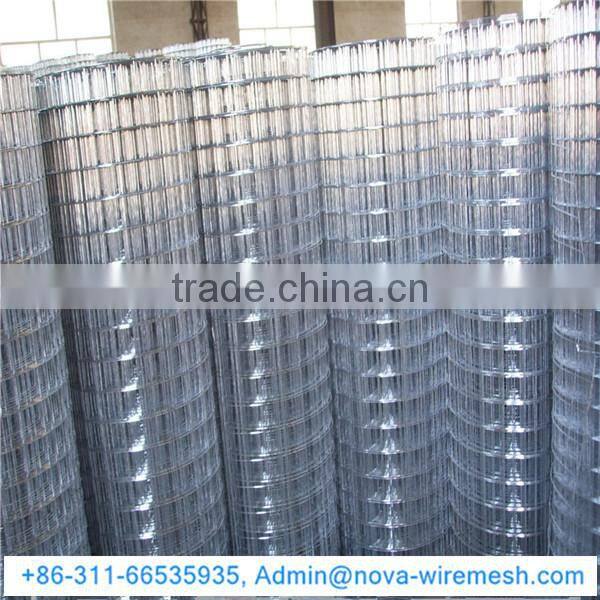Chicken Coop welded mesh / Welded wire mesh mew product / Welded wire mesh for birds cage