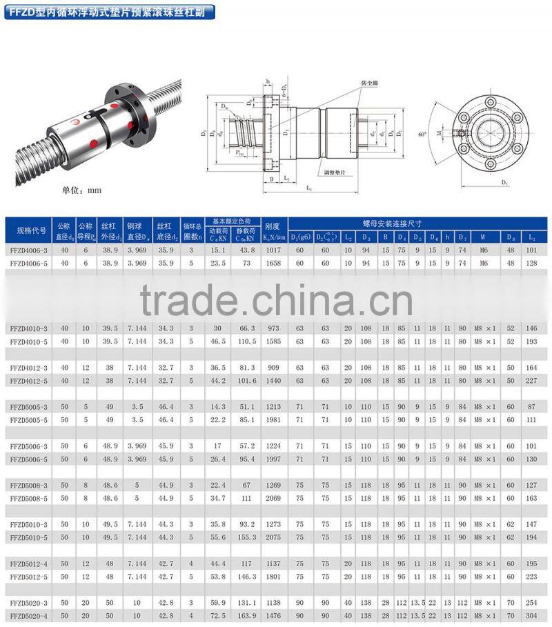 FFZD Type grinding ball screw