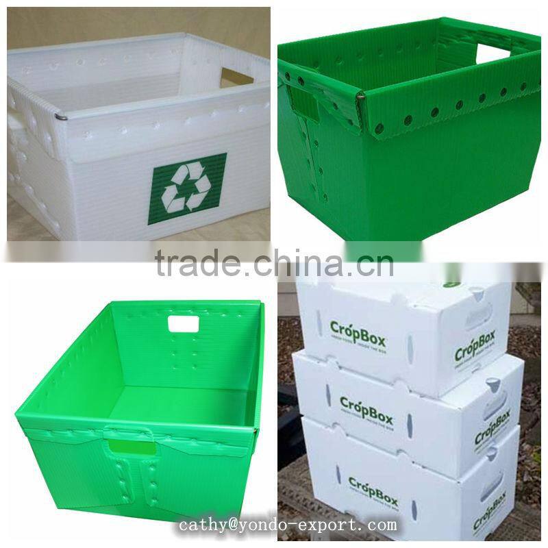 Custom Plastic Floor Protection Sheet / Plastic Wall Protection Sheet/ PP Hollow Sheet Manufacturer