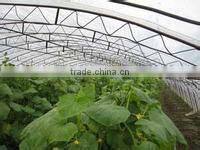 LDPE plastic film for greenhouse / mulch