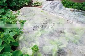 vegetable cover/ protection from cold