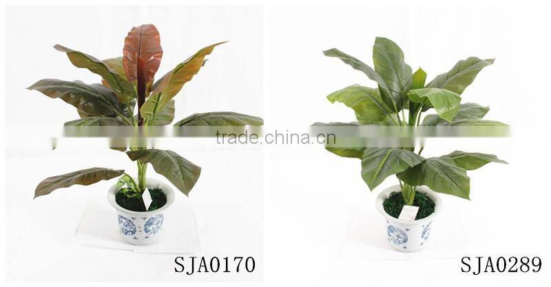 China, Guangdong artificial decor bonsai for sale