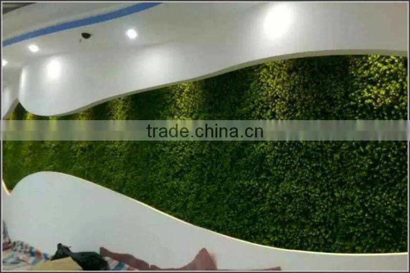 Indoor and outdoor decorative green plants wall make and install