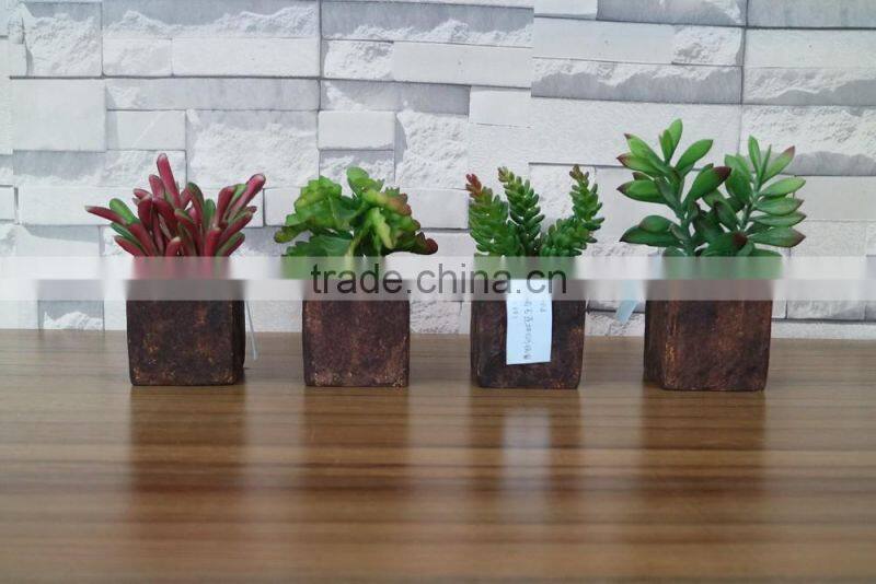 Plastic succulent plants producer and factory