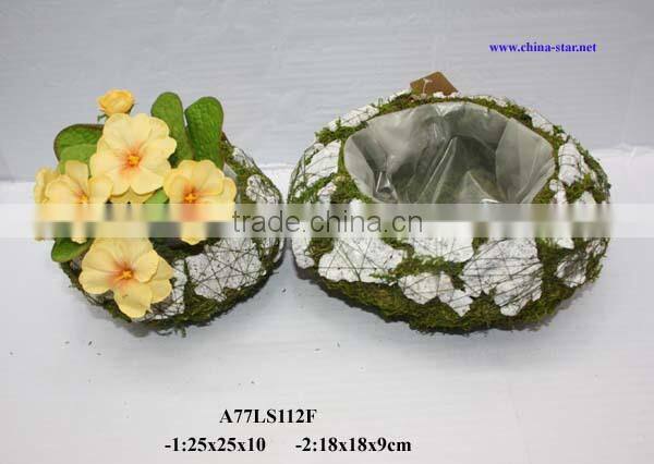 moss biodegradable plant pot