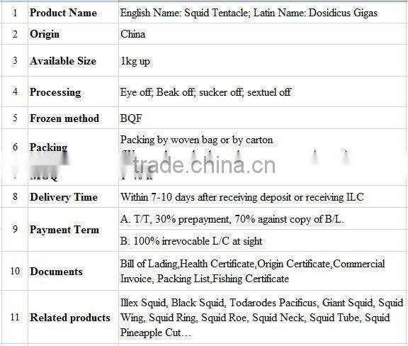 Giant squid tentacle