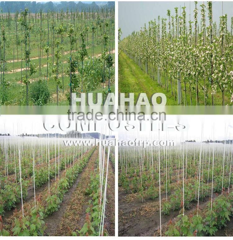 Fiberglass Garden Plant Support,High Strength Flexible Super UV Durable fiberglass plant support rod fast delivery