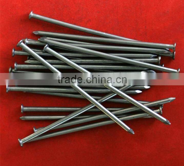 Electro Galvanized Common Nails