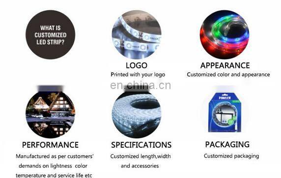 Factory Supply RGBW RGB+CCT RGB+WW+PW(5 in 1)LED Flexible Strip 5050 IP 68 Waterproof