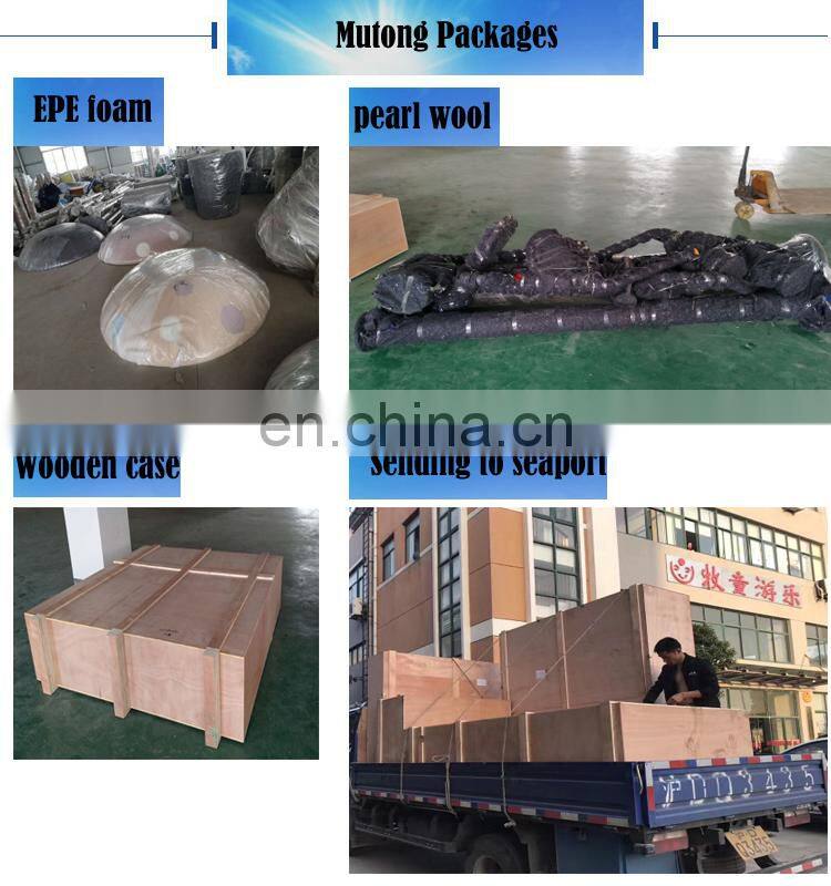 Pool Waterpark aquaparks