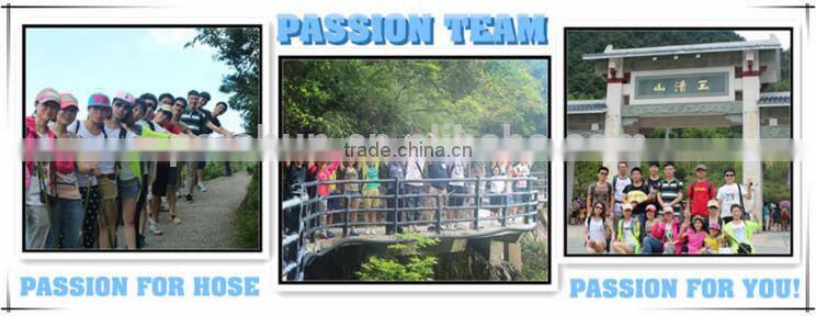 PU High Pressure Hydraulic Testing Hose for Hydrotesting