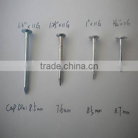 galvanized large flat head clout nail manufacturer