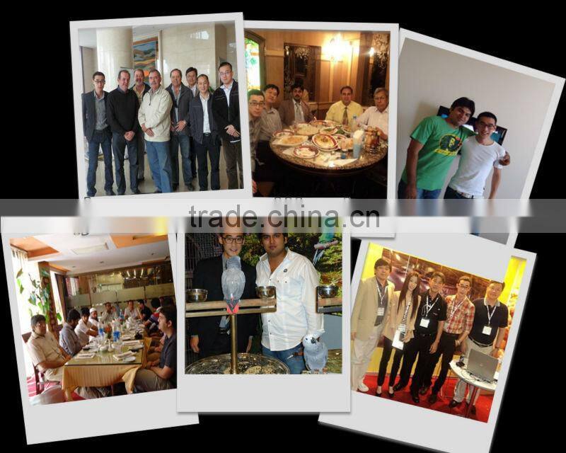 2015 Modern Poultry House Distance Control Environment Control