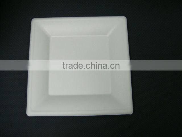 a Biodegradable Disposable Sugarcane Bagasse Ellipse Plate