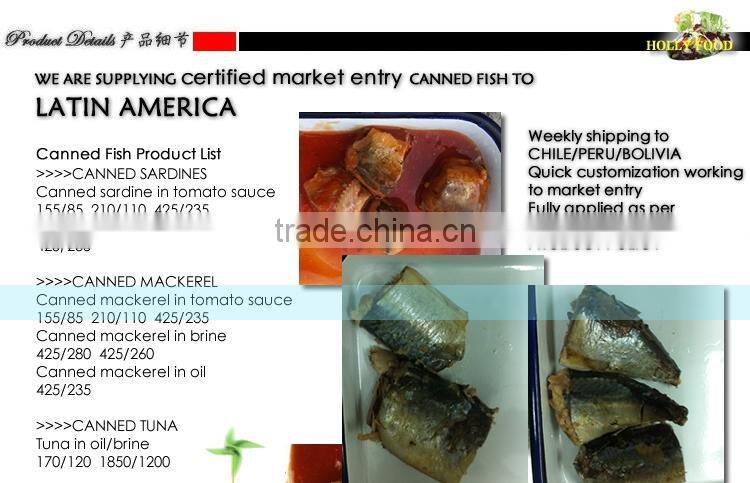CANNED TUNA IN BRINE CHILE BOLIVIA LATIN AMERICA ISO member high quality premium 425g/210g/155g Sardine in oil in tomato suace
