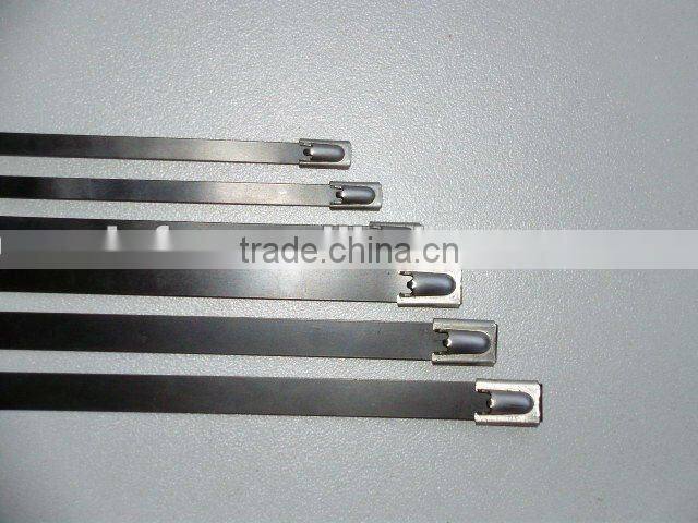 PVC Coated Stainless Steel banding Strap 304