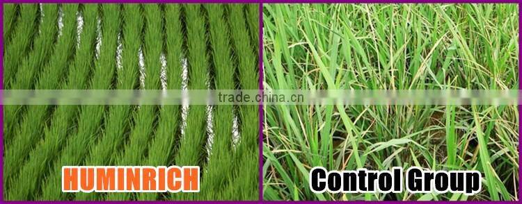 Huminrich Shenyang Organic Fertilizer As Plant Growth Regulator Potassium Humate Analysis Method