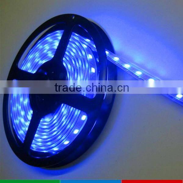 High lumen 5050 smd led strip light 220V