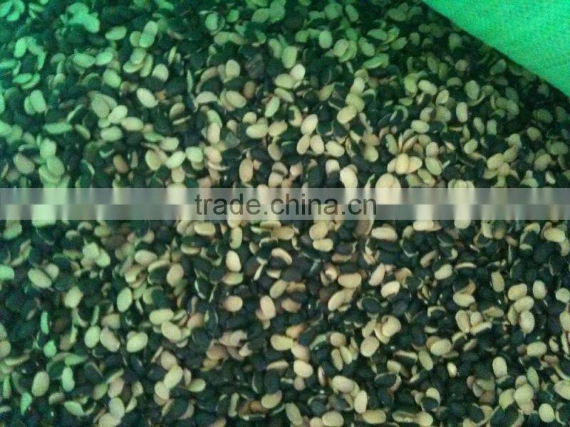 Chinese Small Black Kidney Beans splite to brazil
