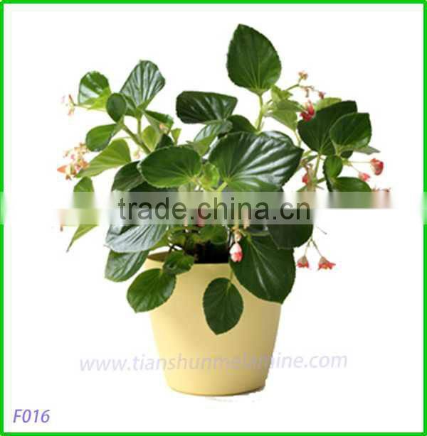 2013 cheap flowerpots of plastic , colorful plastic tabletop flower pots