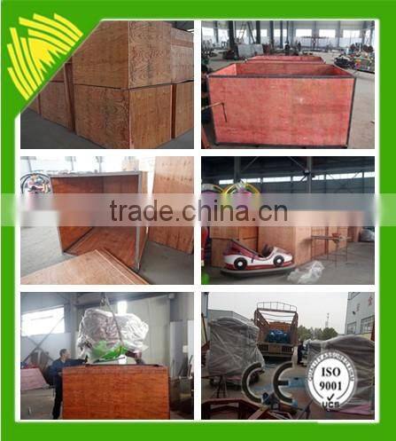 Cheap Kiddie mini ferris wheel with 10 seats