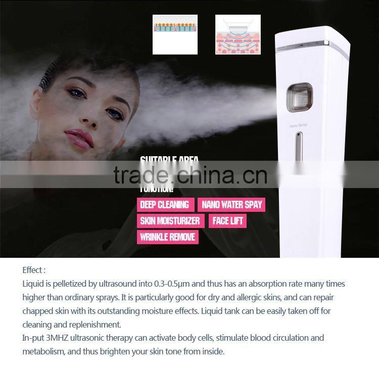 Facial Ice Steamer Face Steam Spa Beauty Salon Equipment