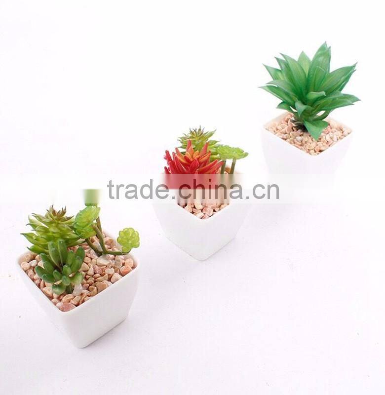 fake plant succulent plants with plot