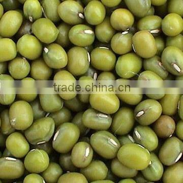 all size Green Mung beans 2010 crop