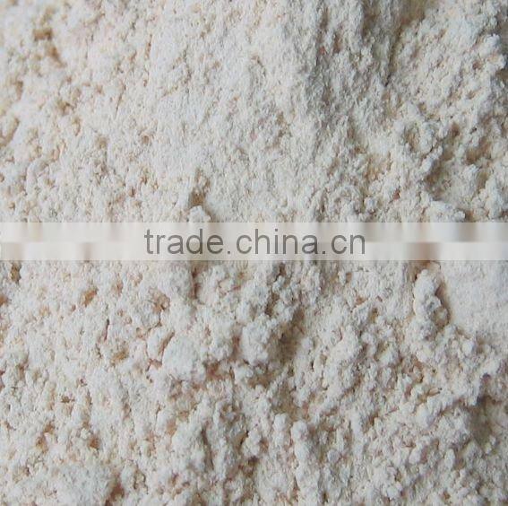 NEW CROP 100% Natural White Garlic Powder