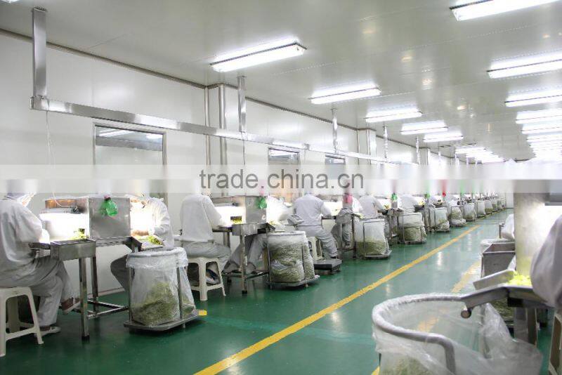 Dried cabbage cutter shredder wholesales