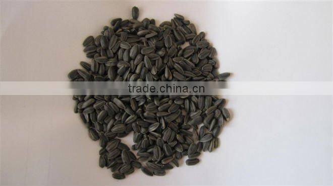 Sunflower seeds for bird feed
