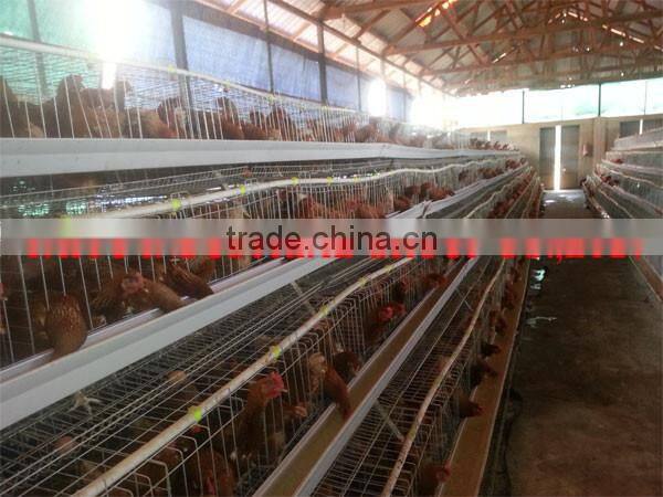 TAIYU Best Sale Chicken Egg Layer Cages System