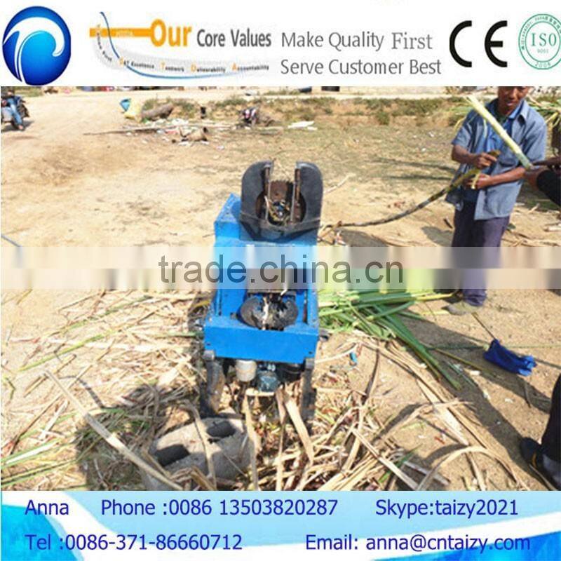 Diesel engine power sugar cane leaf stripping machine